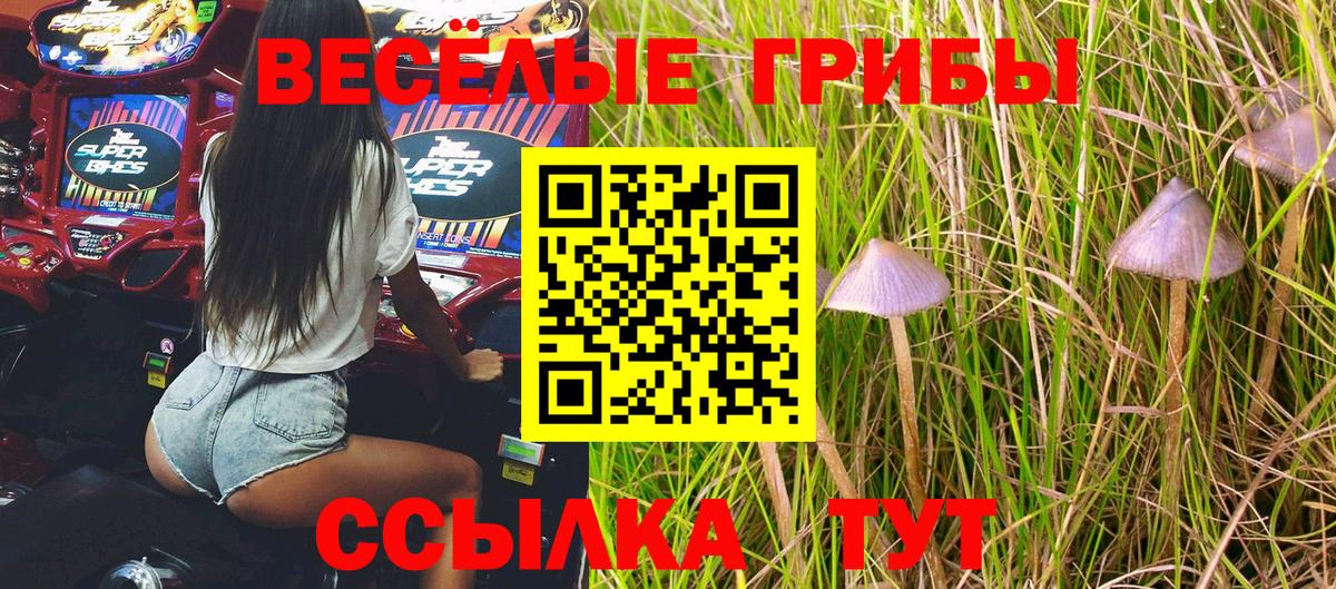 Псилоцибиновые грибы ЛСД  дарнет шоп  Морозовск  Вход с VPN  Псилоцибиновые грибы Psilocybine cubensis 